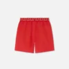 Boardshorts