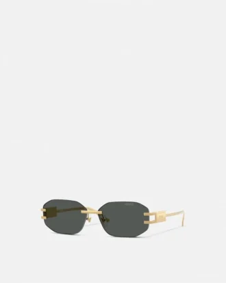 Damier Plaque Sunglasses