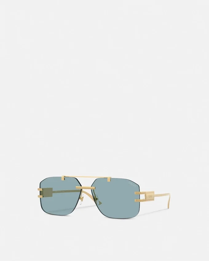 Damier Plaque Sunglasses Damier Plaque Sunglasses