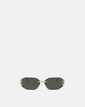 Damier Plaque Sunglasses