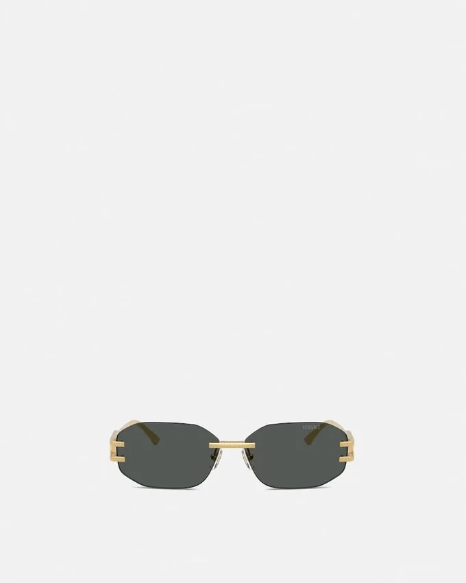 Damier Plaque Sunglasses Damier Plaque Sunglasses