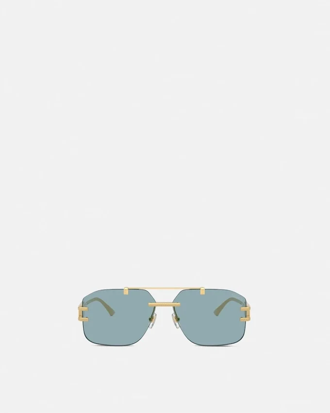Damier Plaque Sunglasses Damier Plaque Sunglasses