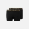 Greca Border Long Trunks 2-Pack Greca Border Long Trunks 2-Pack