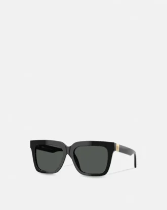 Medusa Plaque Sunglasses Medusa Plaque Sunglasses