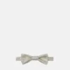 Metallic Viscose-Blend Bow Tie