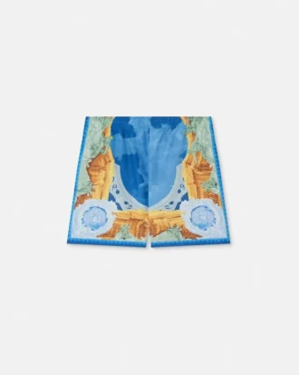 Printed Swim Boardshorts